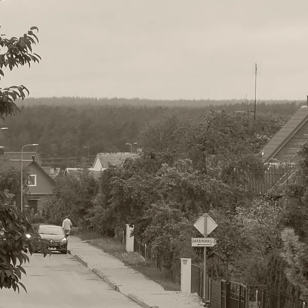 Namelis 1954，位于Švenčionėliai的酒店