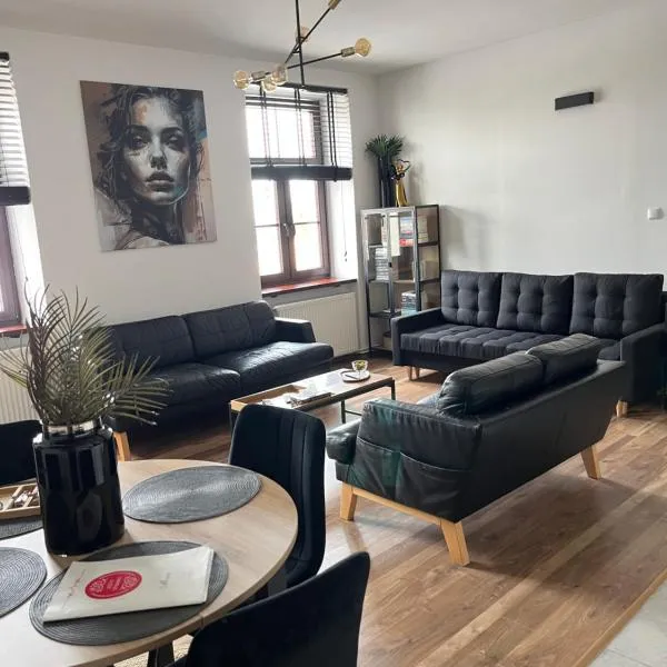 Apartamenty Łuczkowskiego z widokiem na Studnię 2，位于海乌姆的酒店
