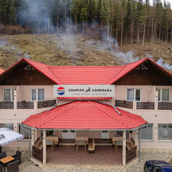 Pensiune Restaurant Căprioara Toplița，位于托普利察的酒店