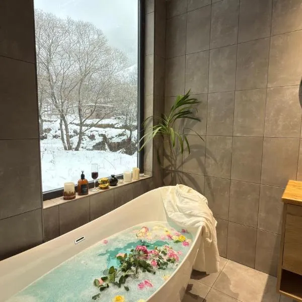 The Nest Guesthouse - Vanadzor，位于Vanadzor的酒店