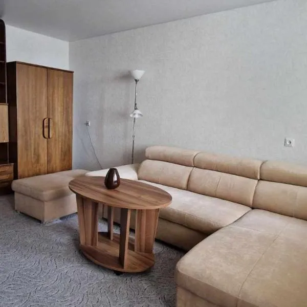 Dubysa Apartments，位于拉塞尼艾的酒店