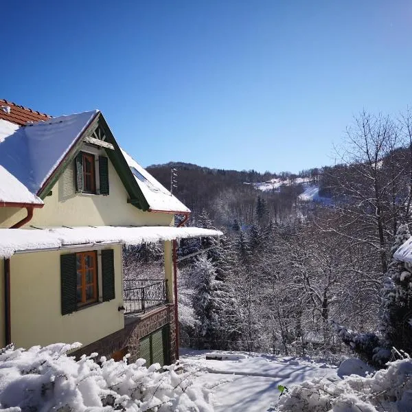 Vadrózsa Vendégház，位于Mátraszentistván的酒店