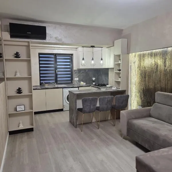 Apartament Magheru Residence，位于克拉约瓦的酒店
