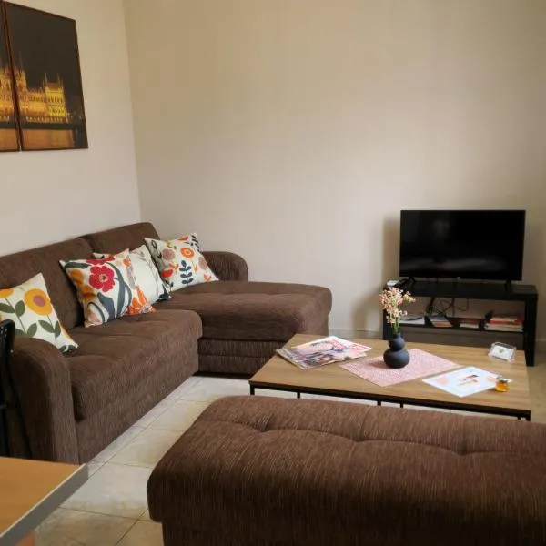 Kofinaki apartment 1，位于Tycherón的酒店