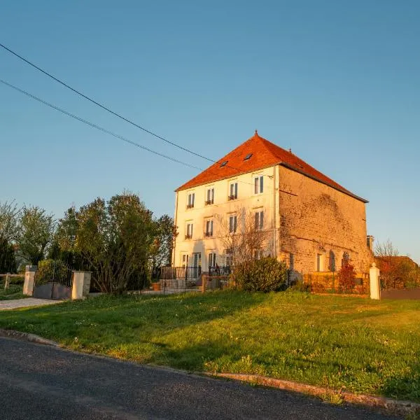 La Maison de la Liberte，位于Laferté-sur-Amance的酒店