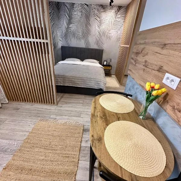 Sofia Residence Studio Cetate，位于特尔古尼亚姆茨的酒店