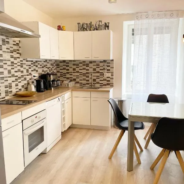 Appartement pratique au centre-ville de Vesoul，位于沃苏勒的酒店