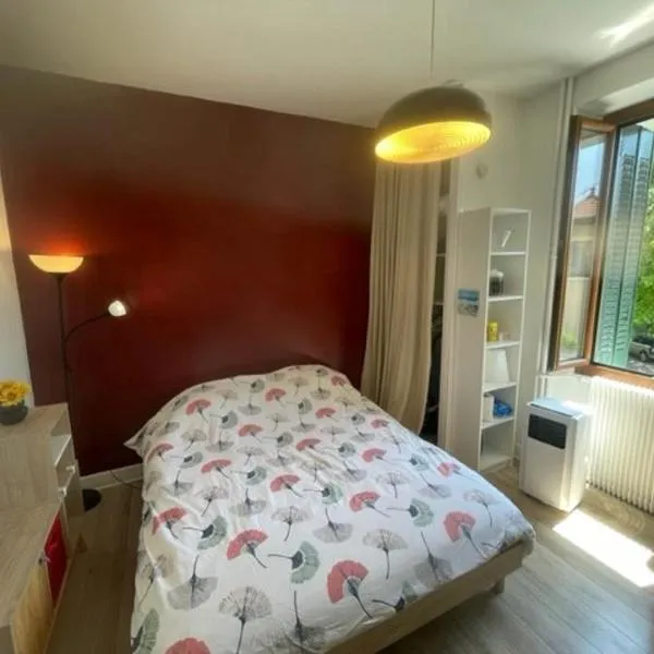 Très beau studio proche centre, très calme，位于安锡的酒店