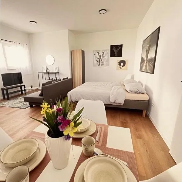 Studio Apartment Albblick，位于特罗辛根的酒店