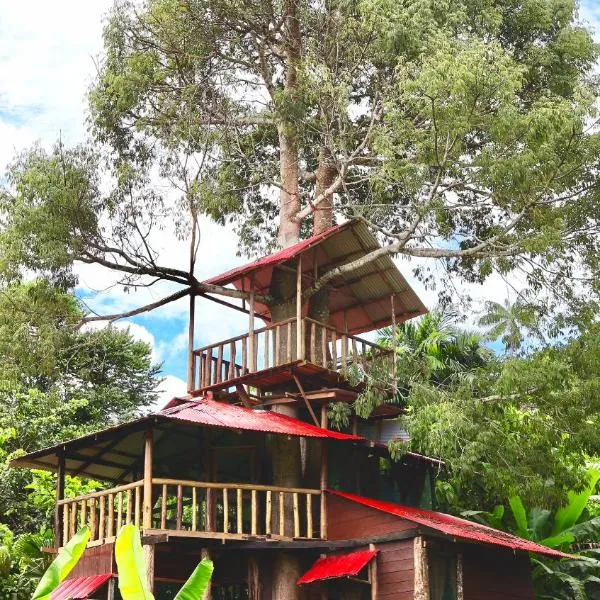Reserva Natural Natura Park，位于Puerto Nariño的酒店
