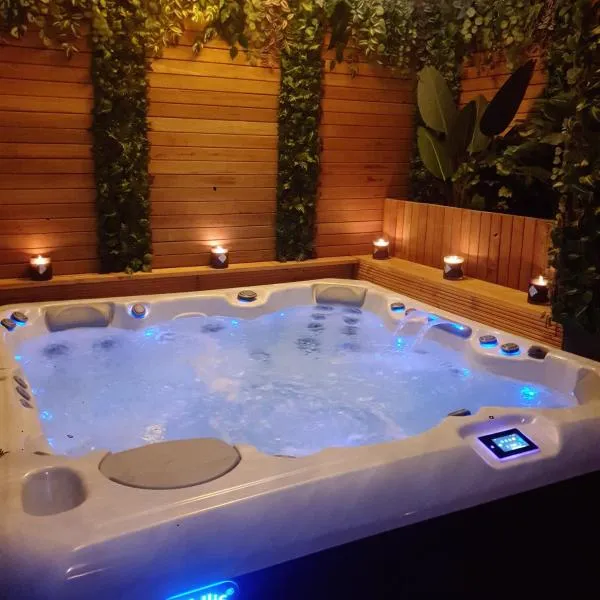 Majestic Wellness Center，位于布鲁塞尔的酒店