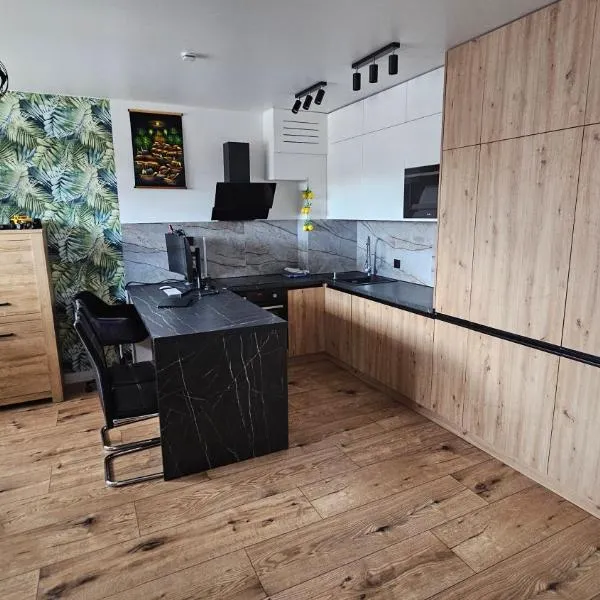 Robert's New studio apartment Łódź Widzew，位于罗兹的酒店