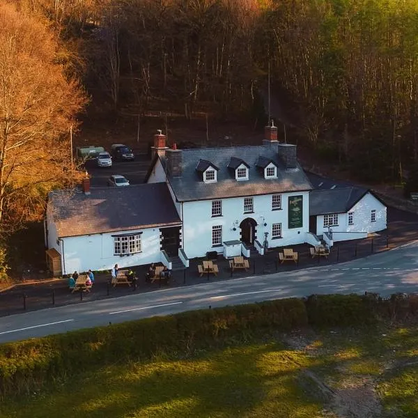 The Bryntirion Inn，位于Llandderfel的酒店