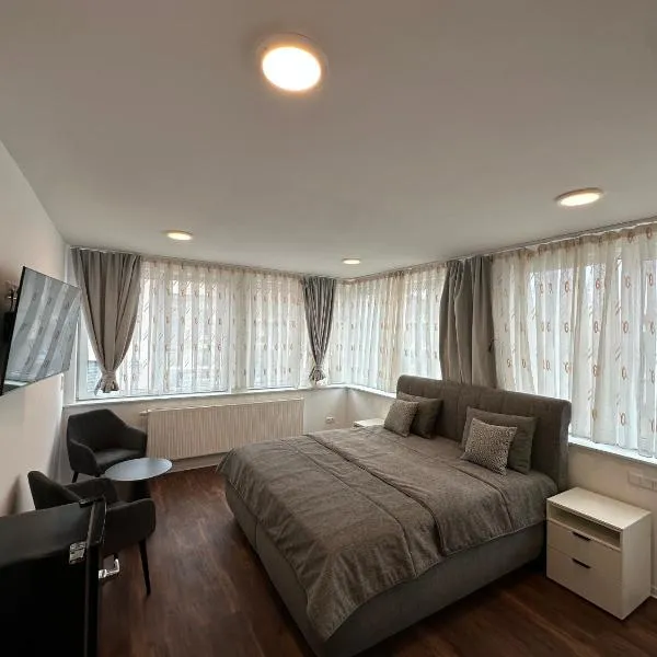 Hotel am Schlossplatz，位于黑欣根的酒店