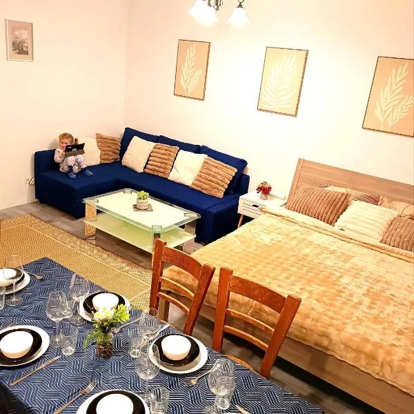 Family Apartments 2 room's Mürzzuschlag，位于米尔茨楚施拉格的酒店