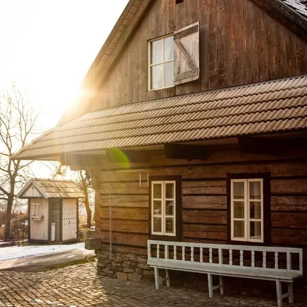 Cifrovaná drevenička，位于代特瓦的酒店