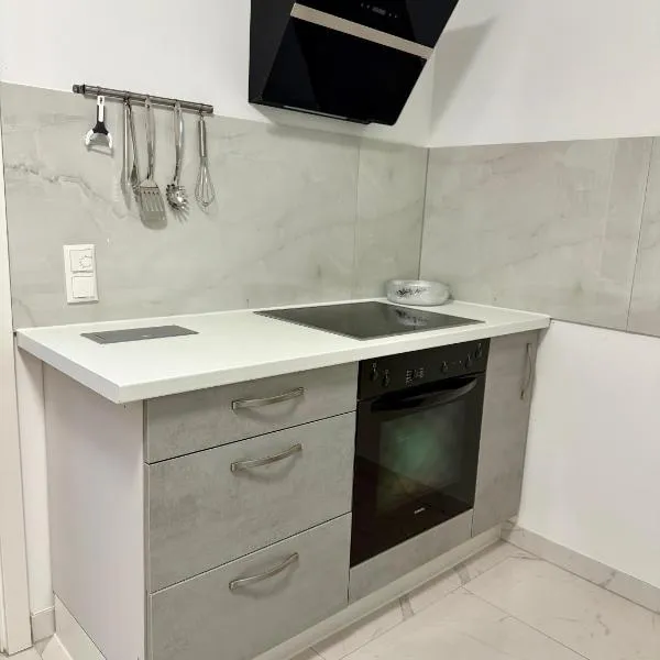 Apartment WH11，位于弗雷兴的酒店