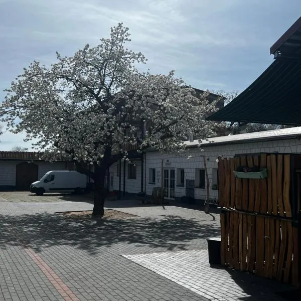 Unseburger Brauhaus GmbH Ferienwohnung 2，位于Unseburg的酒店