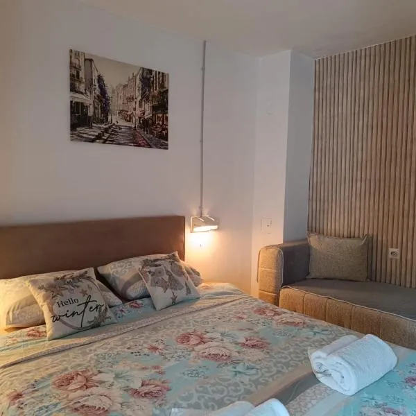 WIN apartment，位于普卢日内的酒店