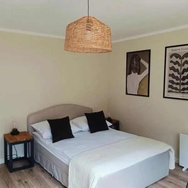 Leśne Szlaki AP Apartment's，位于耶德利纳-兹德鲁伊的酒店