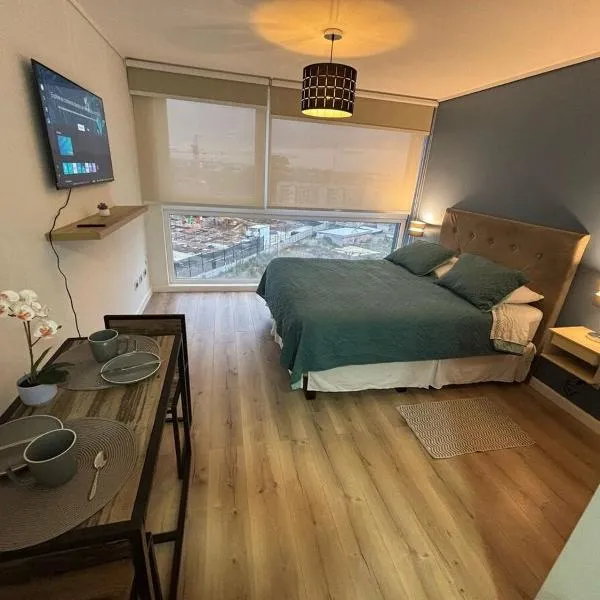 Moderno Estudio en Osorno Full Equipado，位于奥索尔诺的酒店