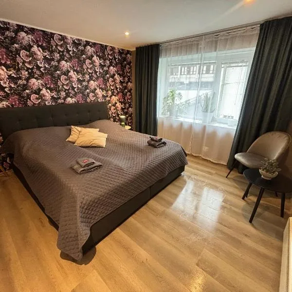 3 rooms apartment in Center，位于奥勒松的酒店