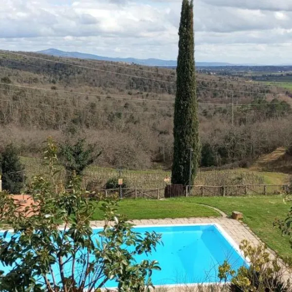 Agriturismo Borgo Sant'Ercolano，位于齐奇亚诺的酒店