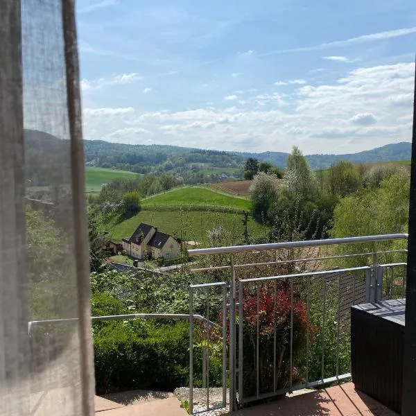 Modernes privates Apartment mit Ausblick，位于Reisen的酒店