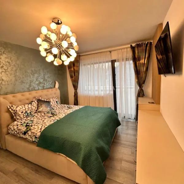 D&D New Residence Lux，位于皮特什蒂的酒店