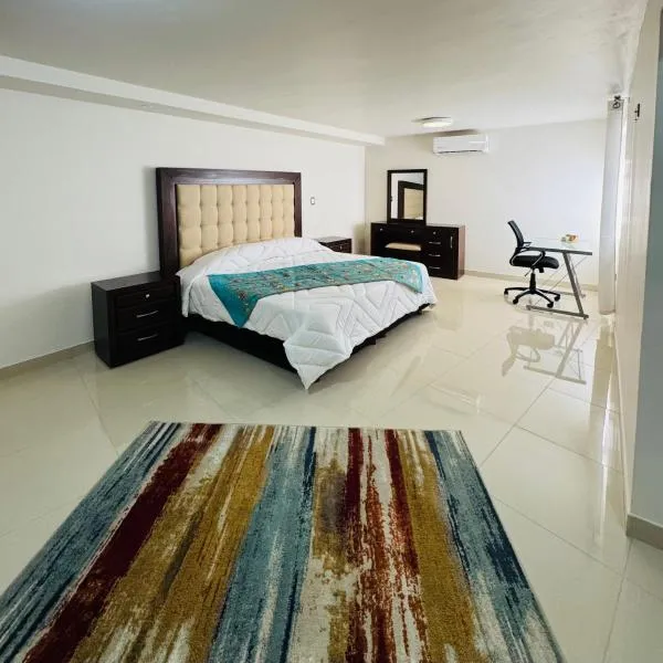 Departamento Mina La Negrita，位于伊达尔戈德尔帕拉尔的酒店