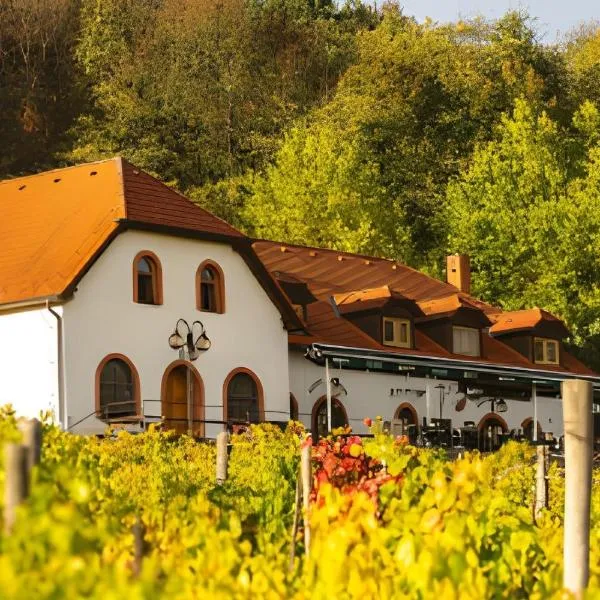 Hotel a vinařství Sádek，位于Kojetice的酒店