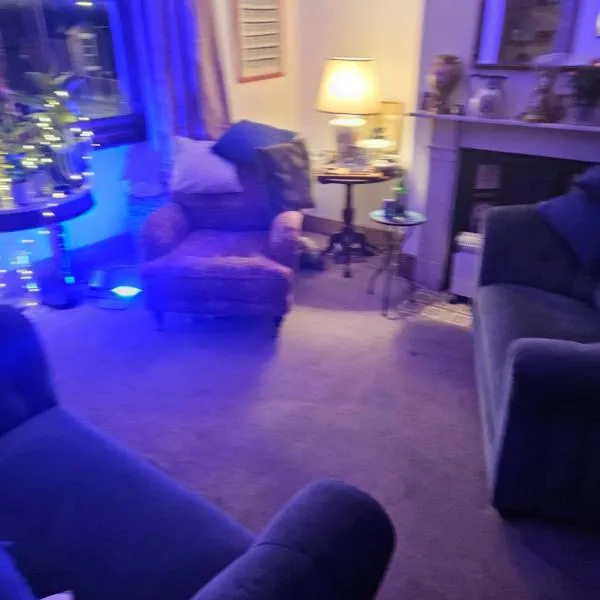 The blue international inn，位于伦敦的酒店