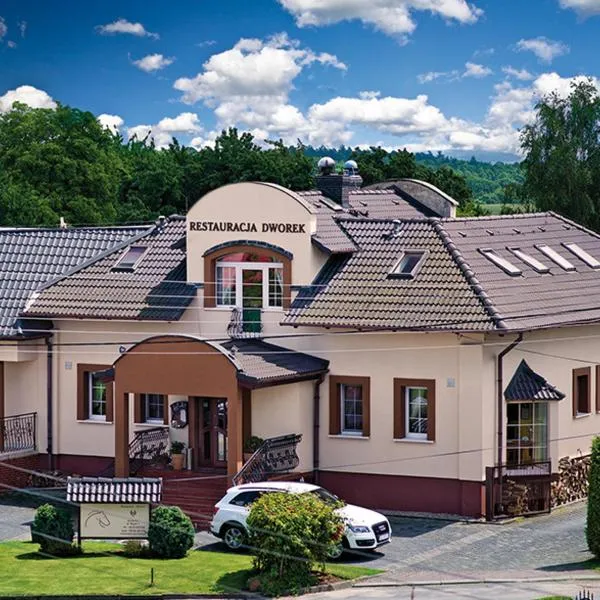 德沃雷克宾馆，位于Szonowice的酒店