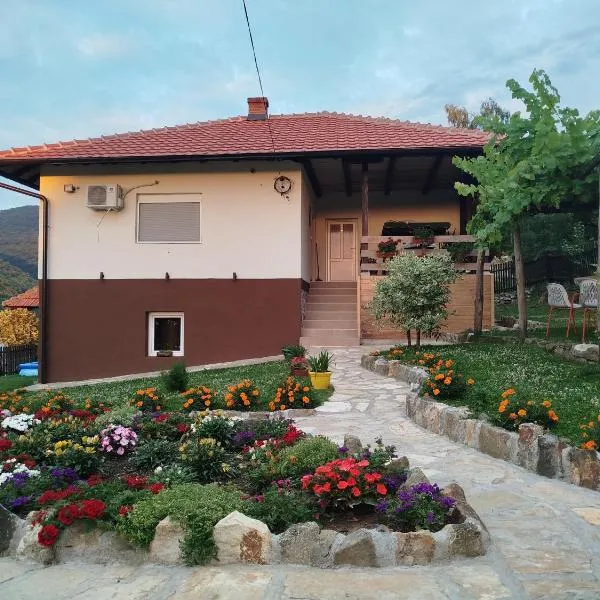 Apartmani Ružina staza，位于鲁德尼克的酒店