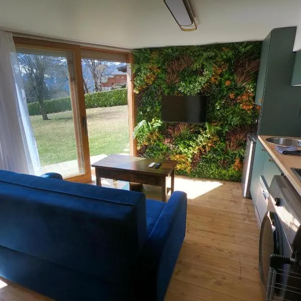 Jungle room au centre des Carroz，位于雷加霍斯达哈施的酒店