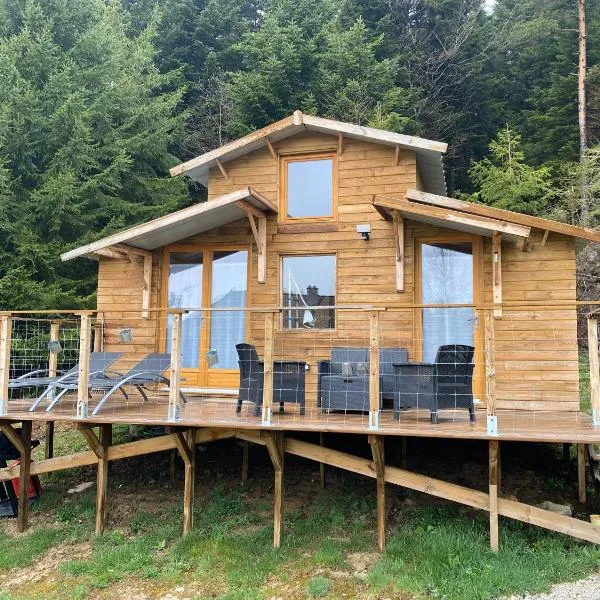 Chalet de l'Abondance，位于Champclause的酒店