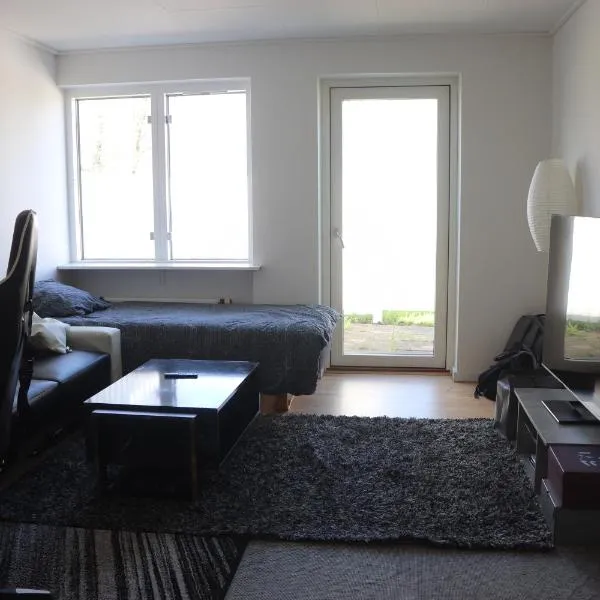 Cozy One Room Apartment，位于罗斯基勒的酒店