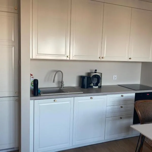 Przytulne mieszkanie na krótki pobyt, spacerem na starówkę，位于托伦的酒店