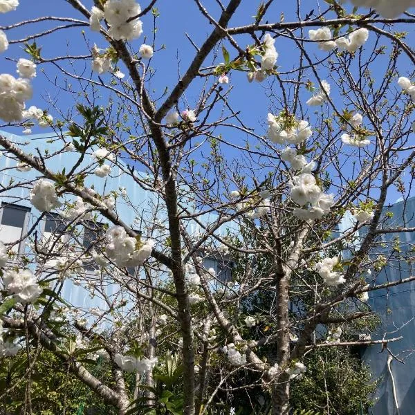 Narita Airport Samurai Hostel,位于Kujukuri的酒店