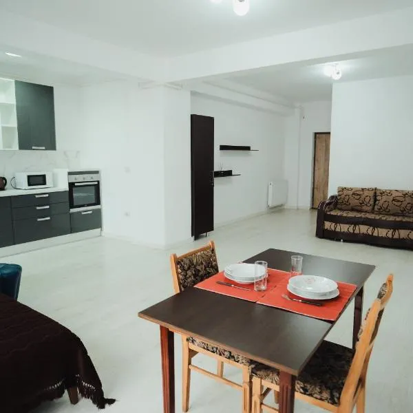 JAY House Radauti，位于勒德乌齐的酒店