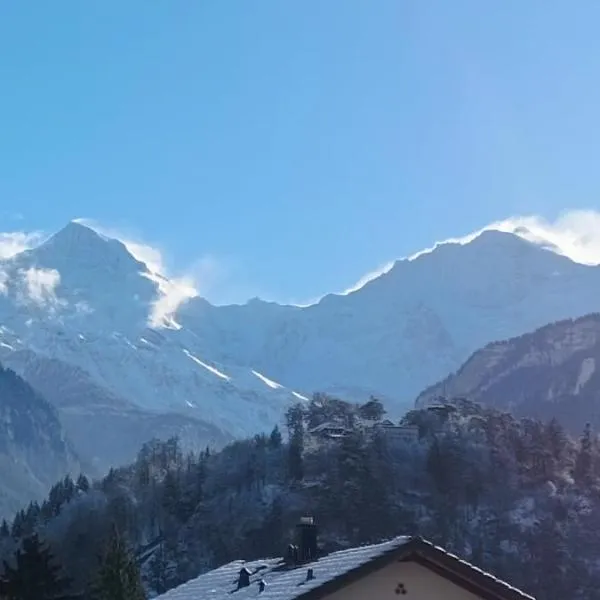 Swiss Alpine view apartment，位于因特拉肯的酒店