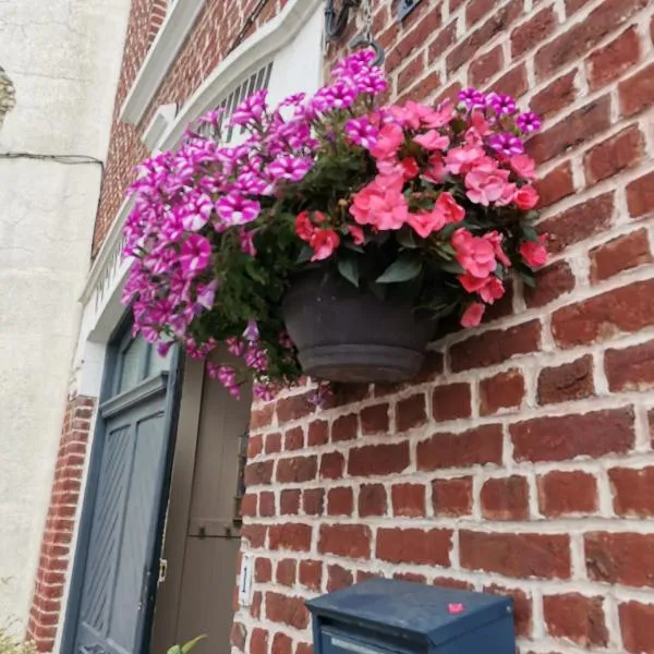 Chez sylvie et jean luc，位于Steenvoorde的酒店