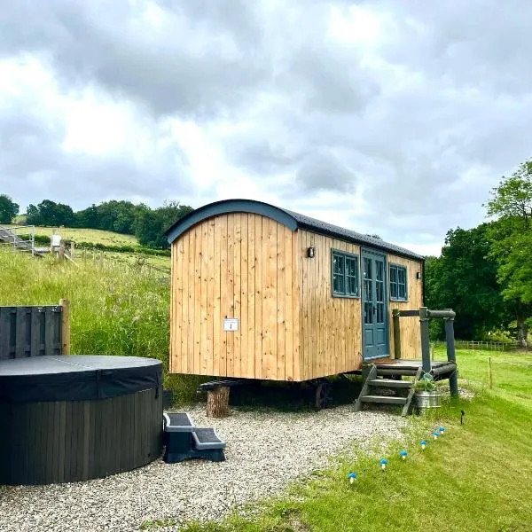 Oakies Farm Stays，位于兰达弗里的酒店