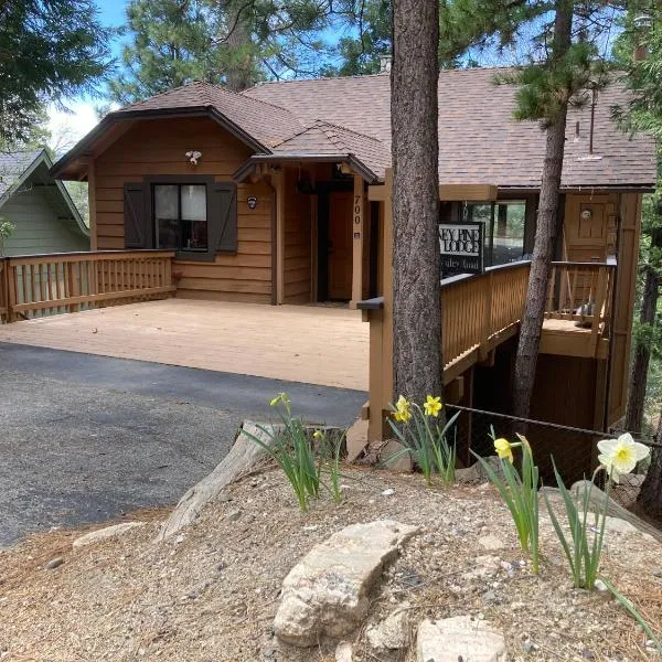 Cozy 3BR Dog-Friendly Cabin- Level 2 EV Chgr，位于箭头湖的酒店