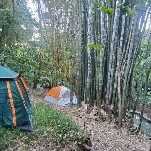Campamento equipado de bosque，位于库埃察兰德尔普罗格雷索的酒店