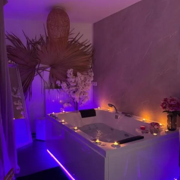 BALI SPA détente à deux à 5 minutes de Tours centre，位于图尔的酒店