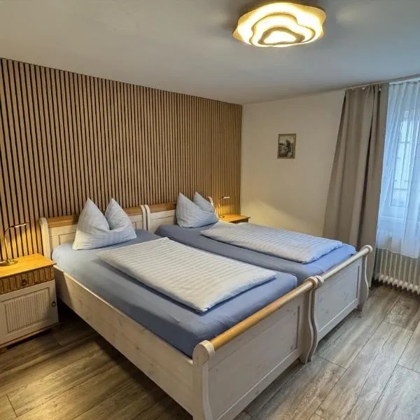 苏斯特斯塔德酒店，位于索斯特的酒店