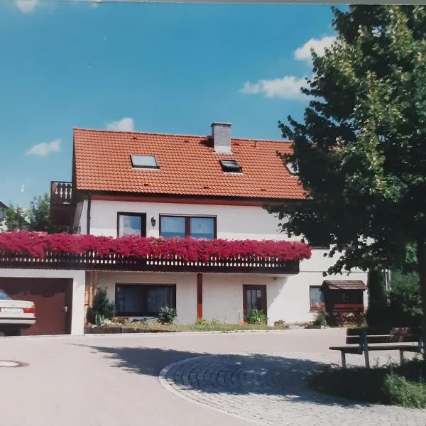 Ruhiges Einzimmer-Apartment，位于巴克南的酒店