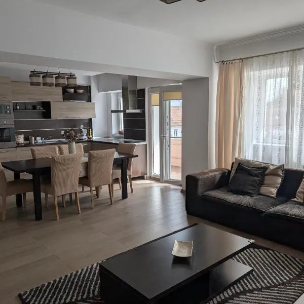 Apartament central 3 dormitoare，位于特尔古-塞奎斯的酒店