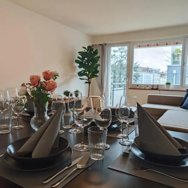 Zentrale Wohnung für bis zu 8 Personen，位于温特图尔的酒店
